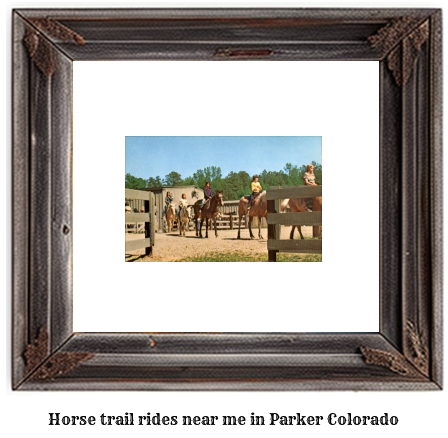 horse trail rides near me in Parker, Colorado